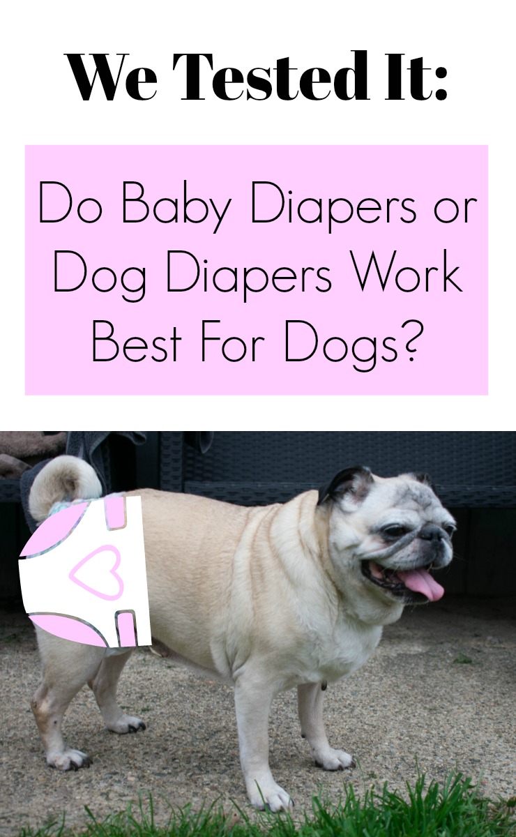 pull up dog diapers