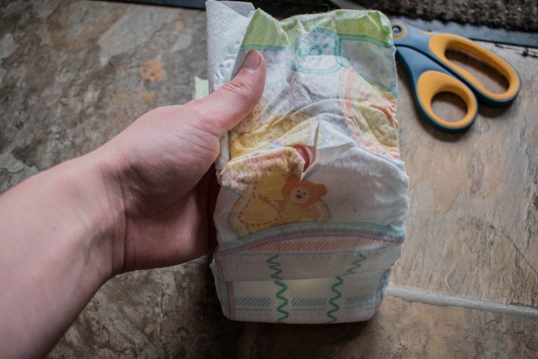 Are Dog Diapers Or Baby Diapers Better For Pugs? Frank Loves Beans